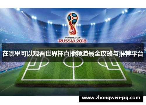 在哪里可以观看世界杯直播频道最全攻略与推荐平台