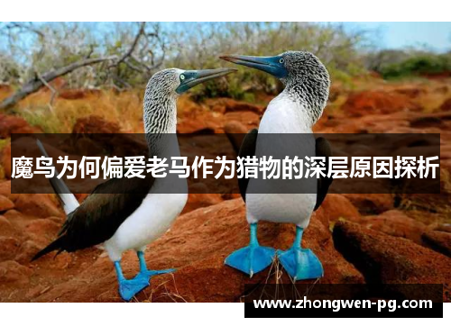 魔鸟为何偏爱老马作为猎物的深层原因探析