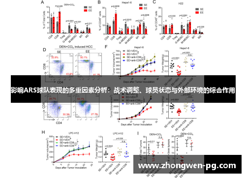 影响ARS球队表现的多重因素分析:战术调整、球员状态与外部环境的综合作用 影响ARS球队表现的多重因素分析:战术调整、球员状态与外部环境的综合作用