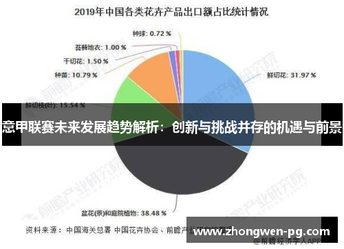 意甲联赛未来发展趋势解析：创新与挑战并存的机遇与前景
